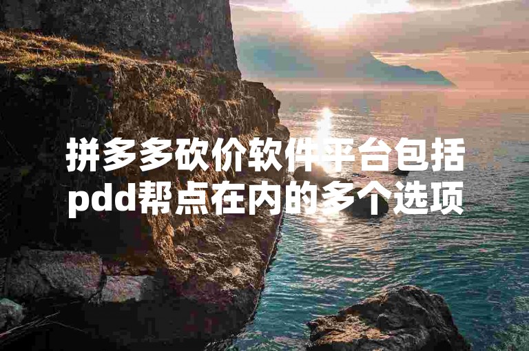 拼多多砍价软件平台包括pdd帮点在内的多个选项。