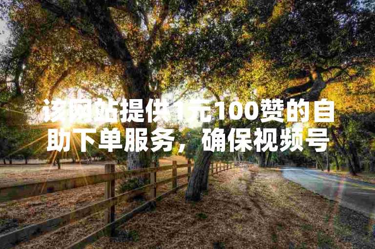 该网站提供1元100赞的自助下单服务，确保视频号业务获得真人点赞。