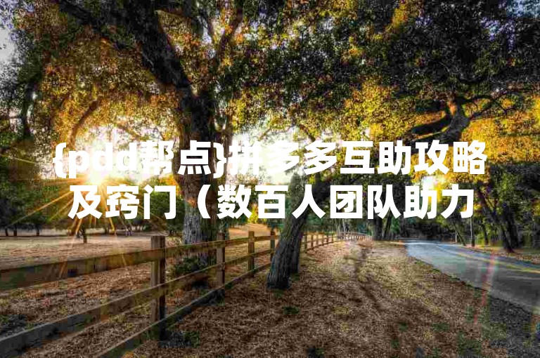 {pdd帮点}拼多多互助攻略及窍门（数百人团队助力支持）
