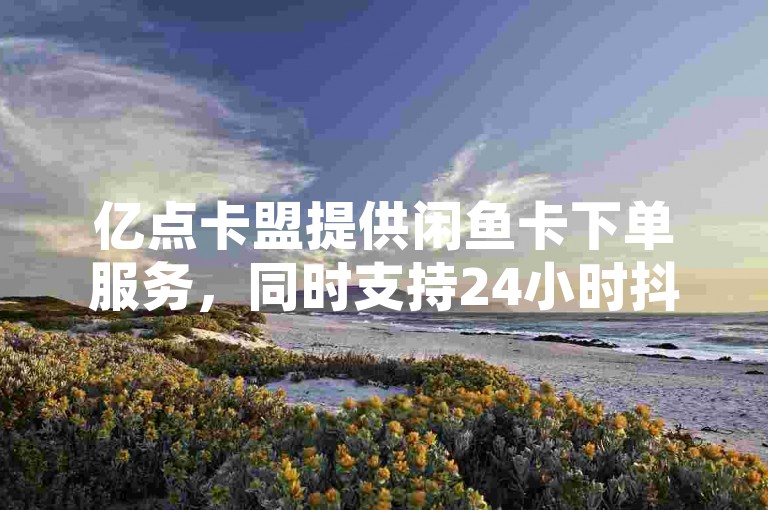 亿点卡盟提供闲鱼卡下单服务，同时支持24小时抖音自助服务及小红书推广。