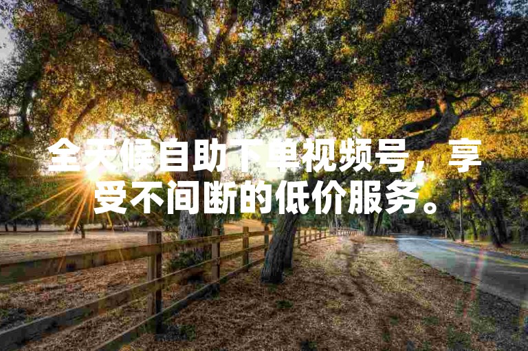 全天候自助下单视频号，享受不间断的低价服务。