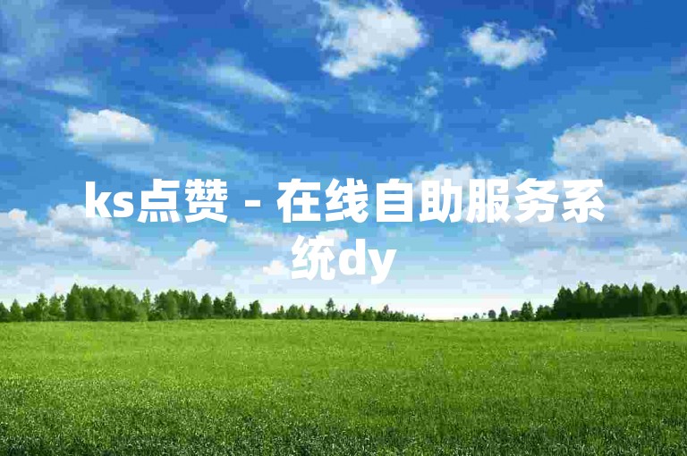 ks点赞 - 在线自助服务系统dy