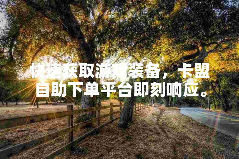快速获取游戏装备，卡盟自助下单平台即刻响应。