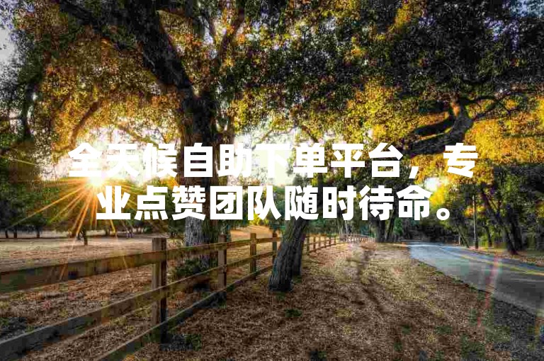 全天候自助下单平台，专业点赞团队随时待命。