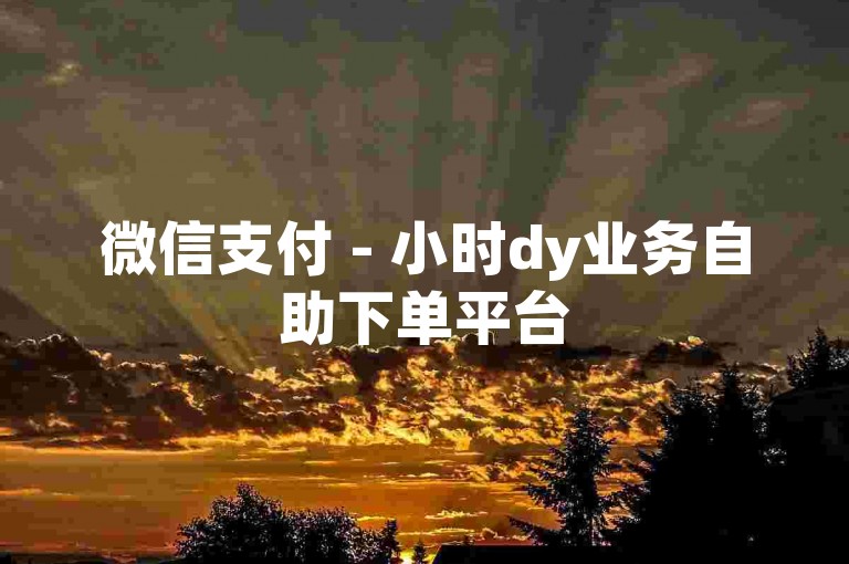 微信支付 - 小时dy业务自助下单平台