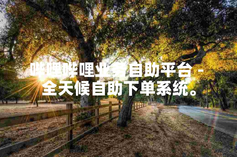 哔哩哔哩业务自助平台 - 全天候自助下单系统。