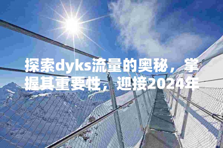 探索dyks流量的奥秘，掌握其重要性，迎接2024年的学习挑战！