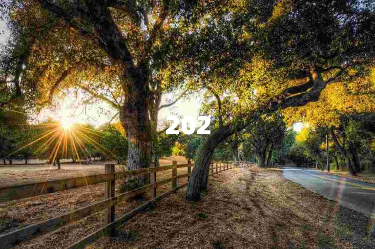 2025年拼多多互助新策略助力新手快速成长。