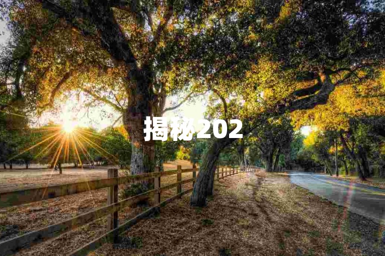 揭秘2025年拼多多红包最新口令的神秘面纱。