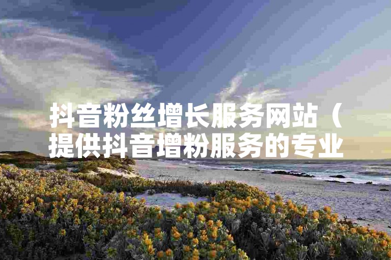 抖音粉丝增长服务网站（提供抖音增粉服务的专业平台）