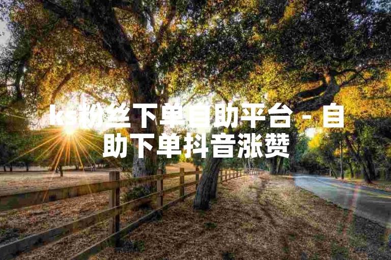 ks粉丝下单自助平台 - 自助下单抖音涨赞