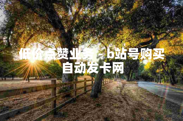 低价点赞业务 - b站号购买自动发卡网