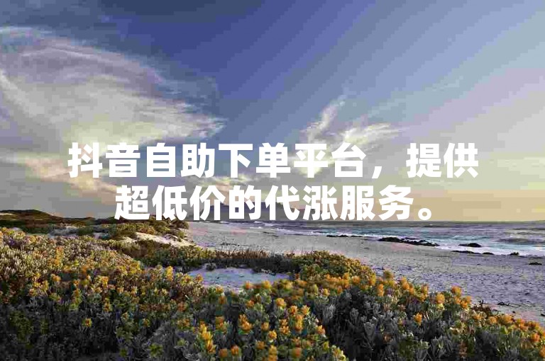 抖音自助下单平台，提供超低价的代涨服务。