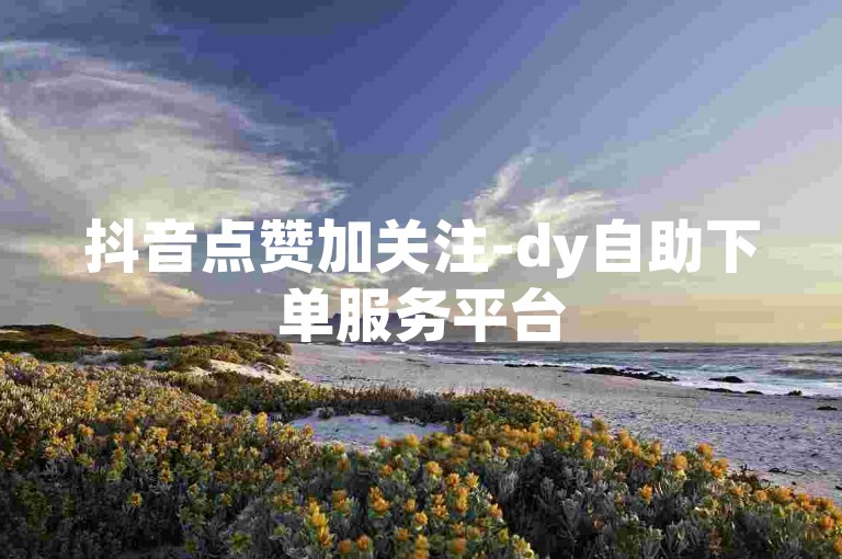 抖音点赞加关注-dy自助下单服务平台