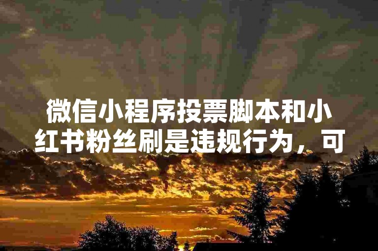 微信小程序投票脚本和小红书粉丝刷是违规行为，可能会对平台生态造成不良影响。
