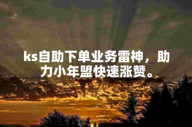ks自助下单业务雷神，助力小年盟快速涨赞。