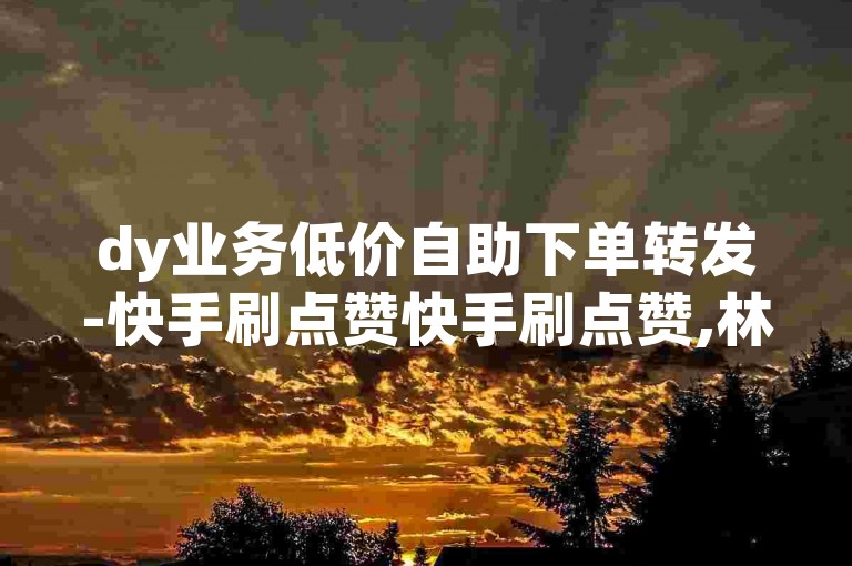 dy业务低价自助下单转发-快手刷点赞快手刷点赞,林氏卡盟自助下单平台