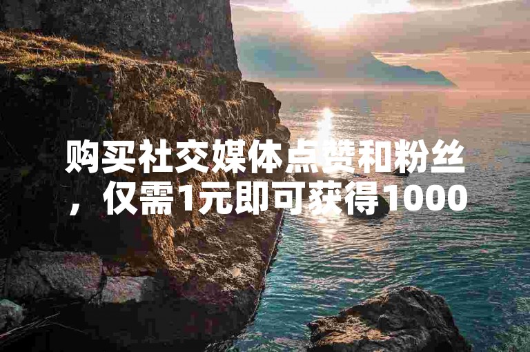 购买社交媒体点赞和粉丝，仅需1元即可获得1000个粉丝的服务平台。