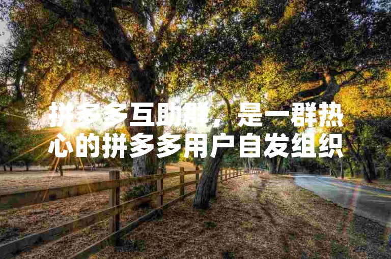 拼多多互助群，是一群热心的拼多多用户自发组织的社群，旨在互相帮助完成平台的各种任务和活动。