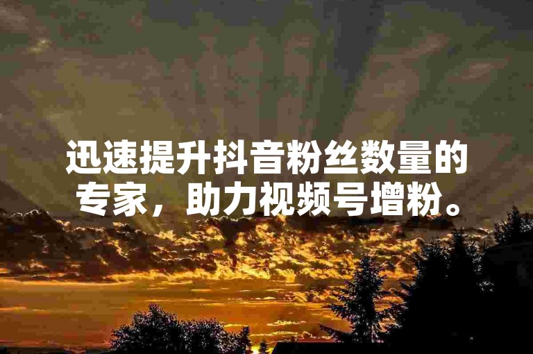 迅速提升抖音粉丝数量的专家，助力视频号增粉。