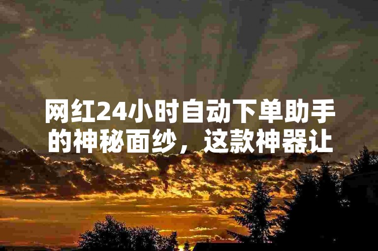 网红24小时自动下单助手的神秘面纱，这款神器让你购物无忧，2025年必备技能！