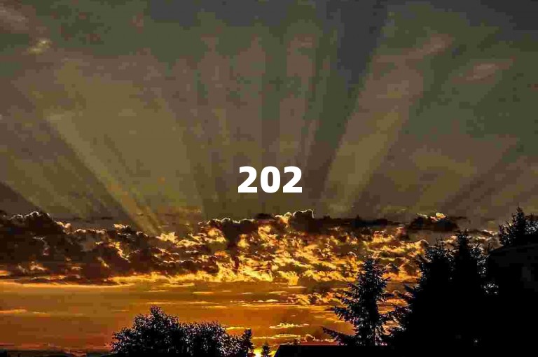2025年，拼多多砍价活动的QQ群成为热门话题，众多参与者通过拼多多砍价平台互相助力。