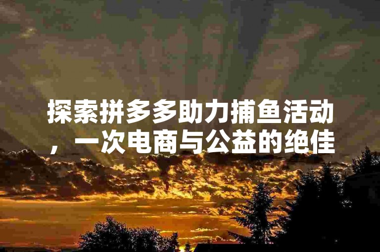 探索拼多多助力捕鱼活动，一次电商与公益的绝佳融合。