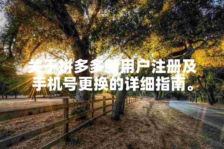 关于拼多多新用户注册及手机号更换的详细指南。