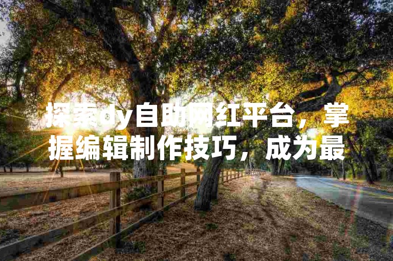 探索dy自助网红平台，掌握编辑制作技巧，成为最佳自助网红。