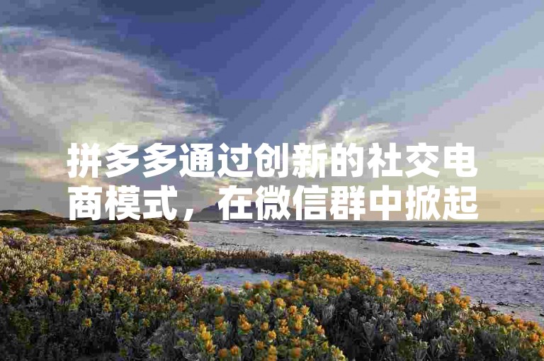 拼多多通过创新的社交电商模式，在微信群中掀起了一股助力购物的新潮流。