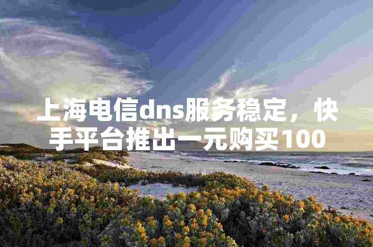上海电信dns服务稳定，快手平台推出一元购买100个赞的优惠活动。
