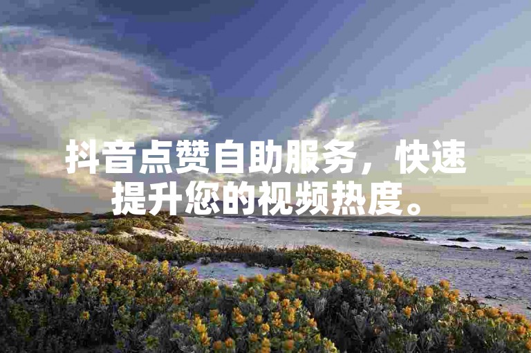 抖音点赞自助服务，快速提升您的视频热度。