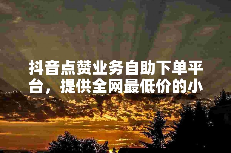抖音点赞业务自助下单平台，提供全网最低价的小红书推广服务，24小时快手业务免费下单。