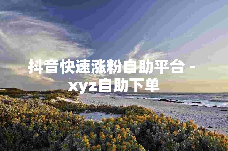 抖音快速涨粉自助平台 - xyz自助下单