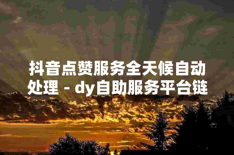 抖音点赞服务全天候自动处理 - dy自助服务平台链接