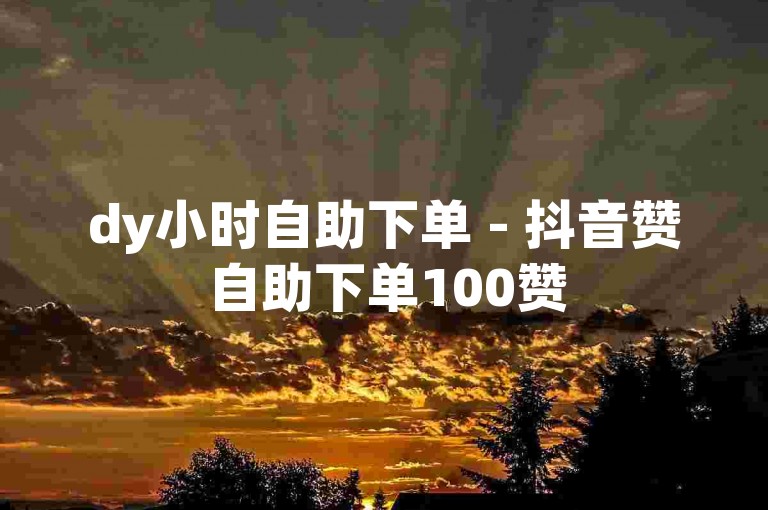 dy小时自助下单 - 抖音赞自助下单100赞