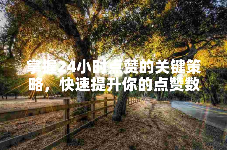 掌握24小时点赞的关键策略，快速提升你的点赞数！新手必学！