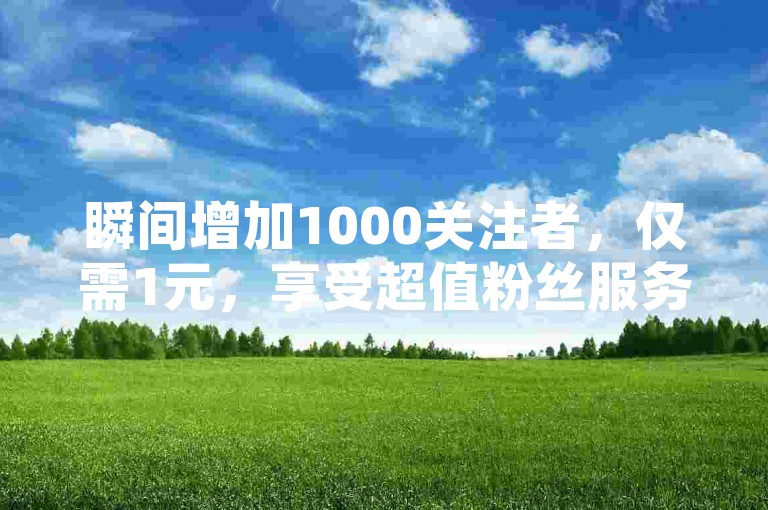 瞬间增加1000关注者，仅需1元，享受超值粉丝服务。