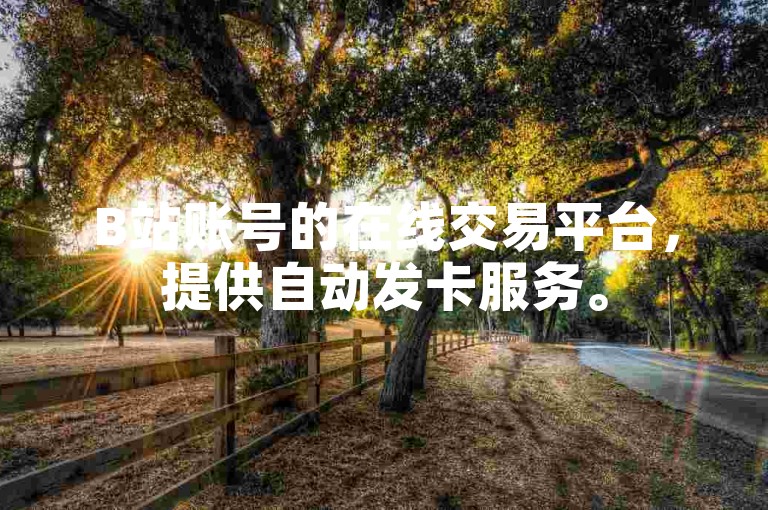 B站账号的在线交易平台，提供自动发卡服务。