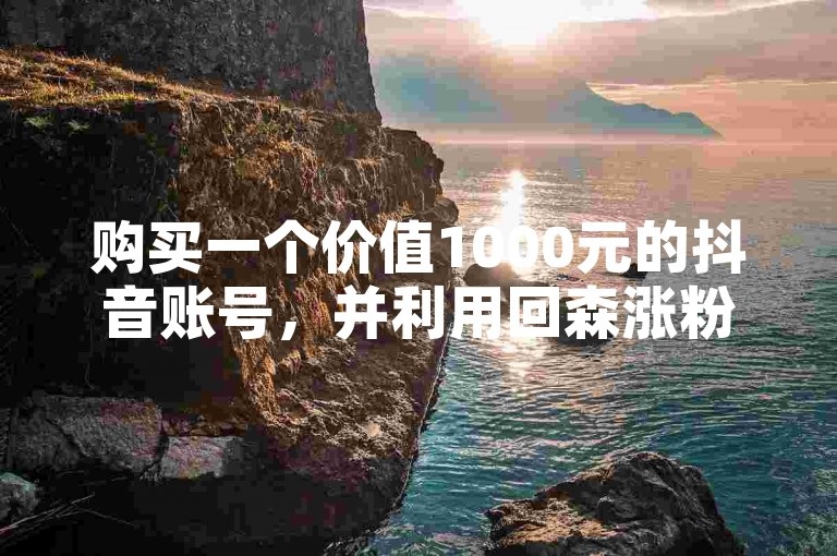 购买一个价值1000元的抖音账号，并利用回森涨粉脚本以及头条自助业务网来增加粉丝量。