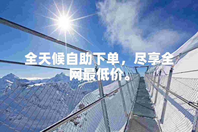 全天候自助下单，尽享全网最低价。