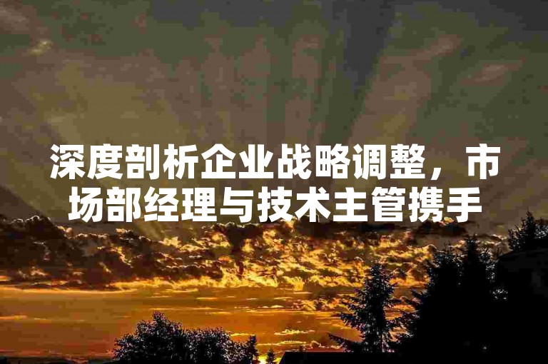 深度剖析企业战略调整，市场部经理与技术主管携手开启新篇章。