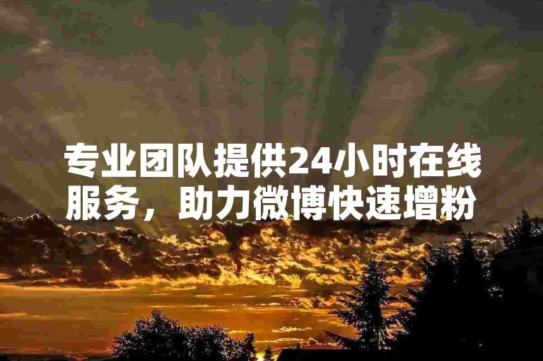 专业团队提供24小时在线服务，助力微博快速增粉，卡盟平台支持低价自助操作。