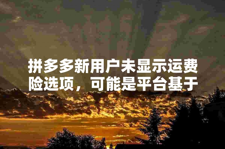 拼多多新用户未显示运费险选项，可能是平台基于其购物行为和账户状态综合评估后的结果。