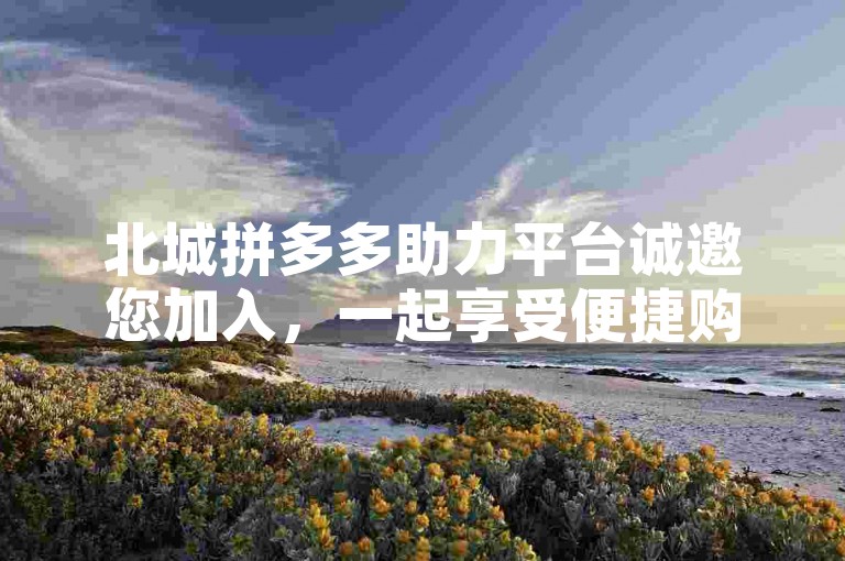 北城拼多多助力平台诚邀您加入，一起享受便捷购物的乐趣。