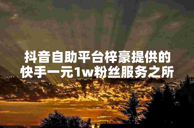 抖音自助平台梓豪提供的快手一元1w粉丝服务之所以不掉粉，是因为它采用了高质量的粉丝增长策略。