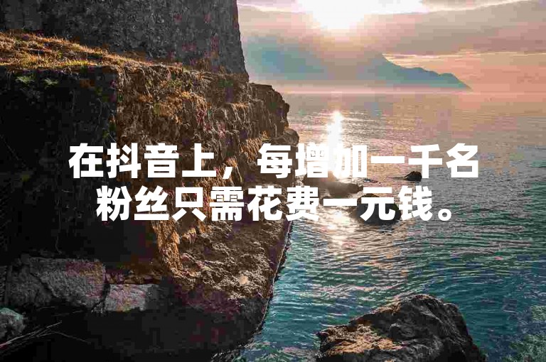 在抖音上，每增加一千名粉丝只需花费一元钱。