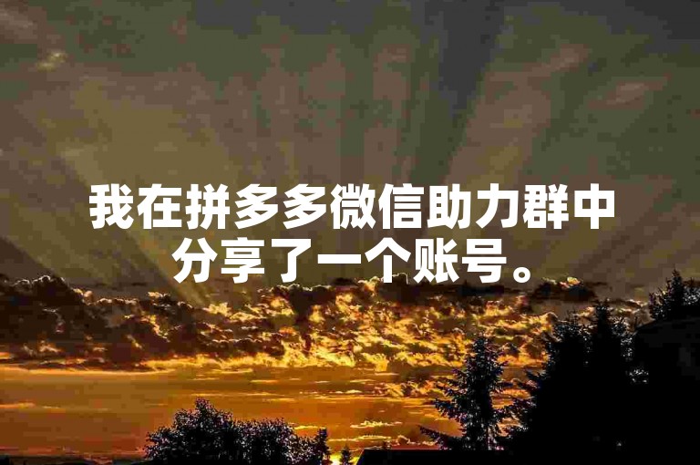 我在拼多多微信助力群中分享了一个账号。