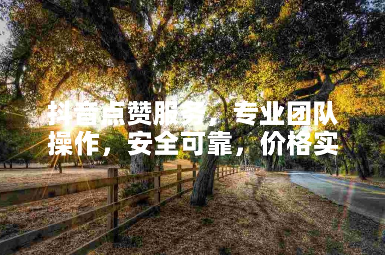 抖音点赞服务，专业团队操作，安全可靠，价格实惠。
