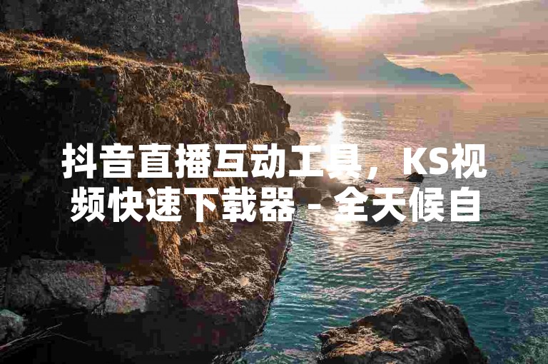 抖音直播互动工具，KS视频快速下载器 - 全天候自助服务网站 - 抖音不间断自动点赞与评论系统。